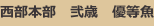 shapeimage_43_link_0