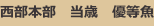 shapeimage_18_link_0